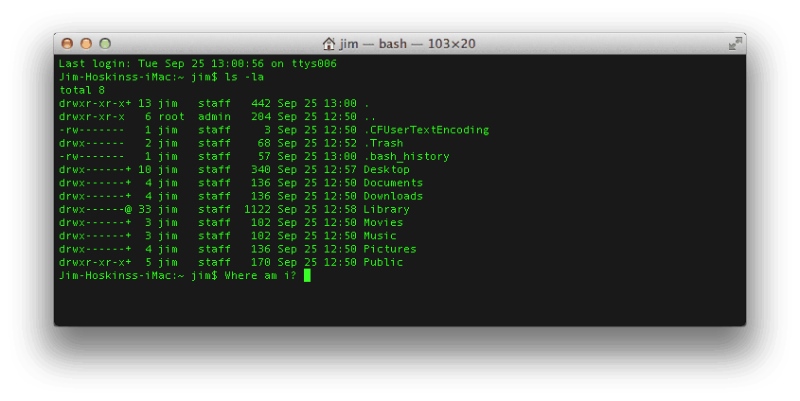 ip scanner mac terminal