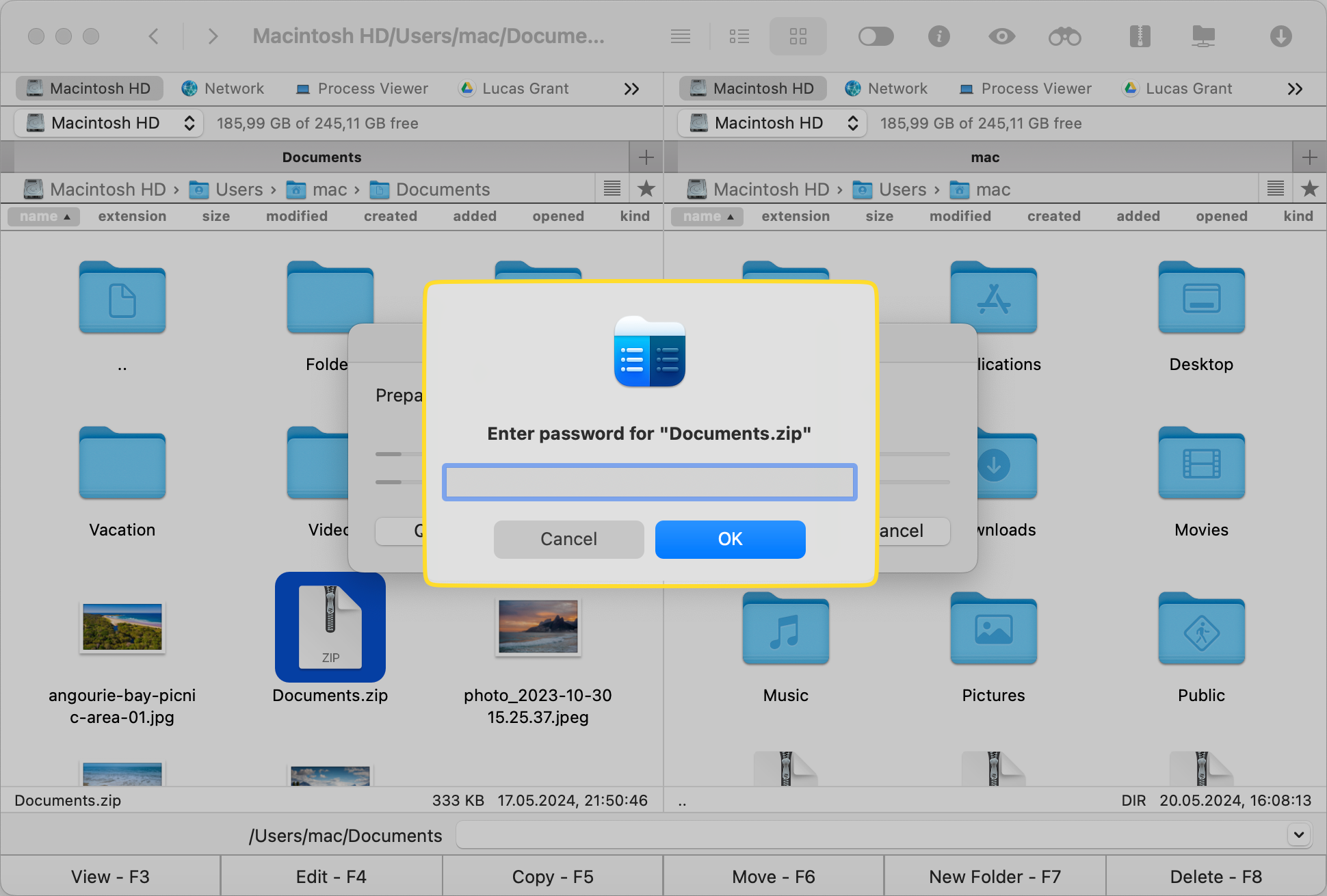 The "Enter password for" the selected ZIP file is shown